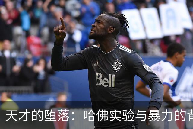 天才的堕落：哈佛实验与暴力的背后
