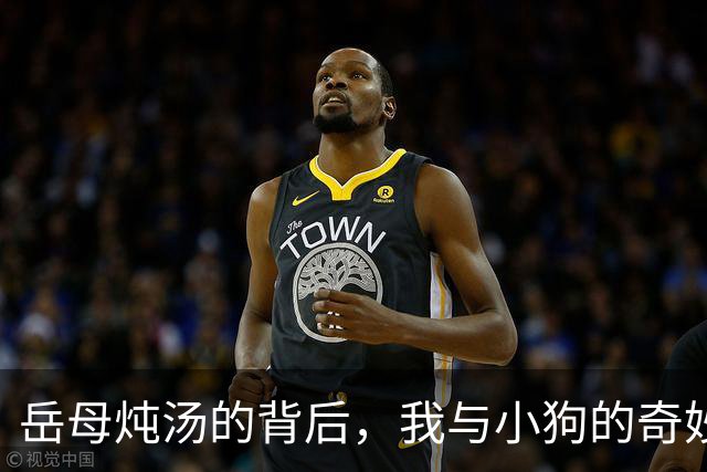 岳母炖汤的背后，我与小狗的奇妙缘分
