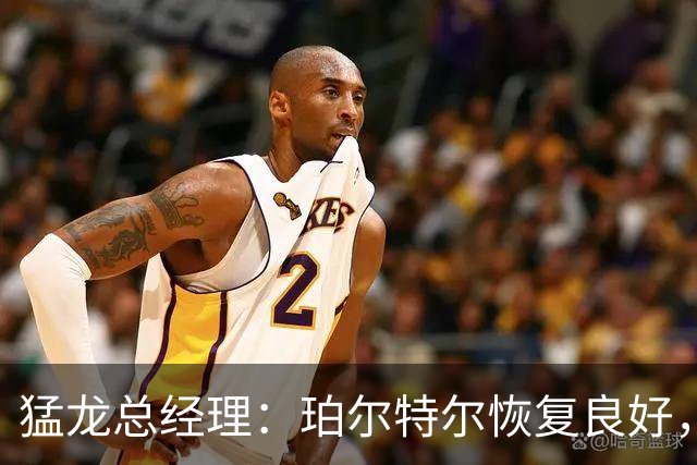 猛龙总经理：珀尔特尔恢复良好，训练营期间将逐步加大强度